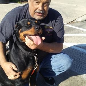 Meet your Posher, Ronald